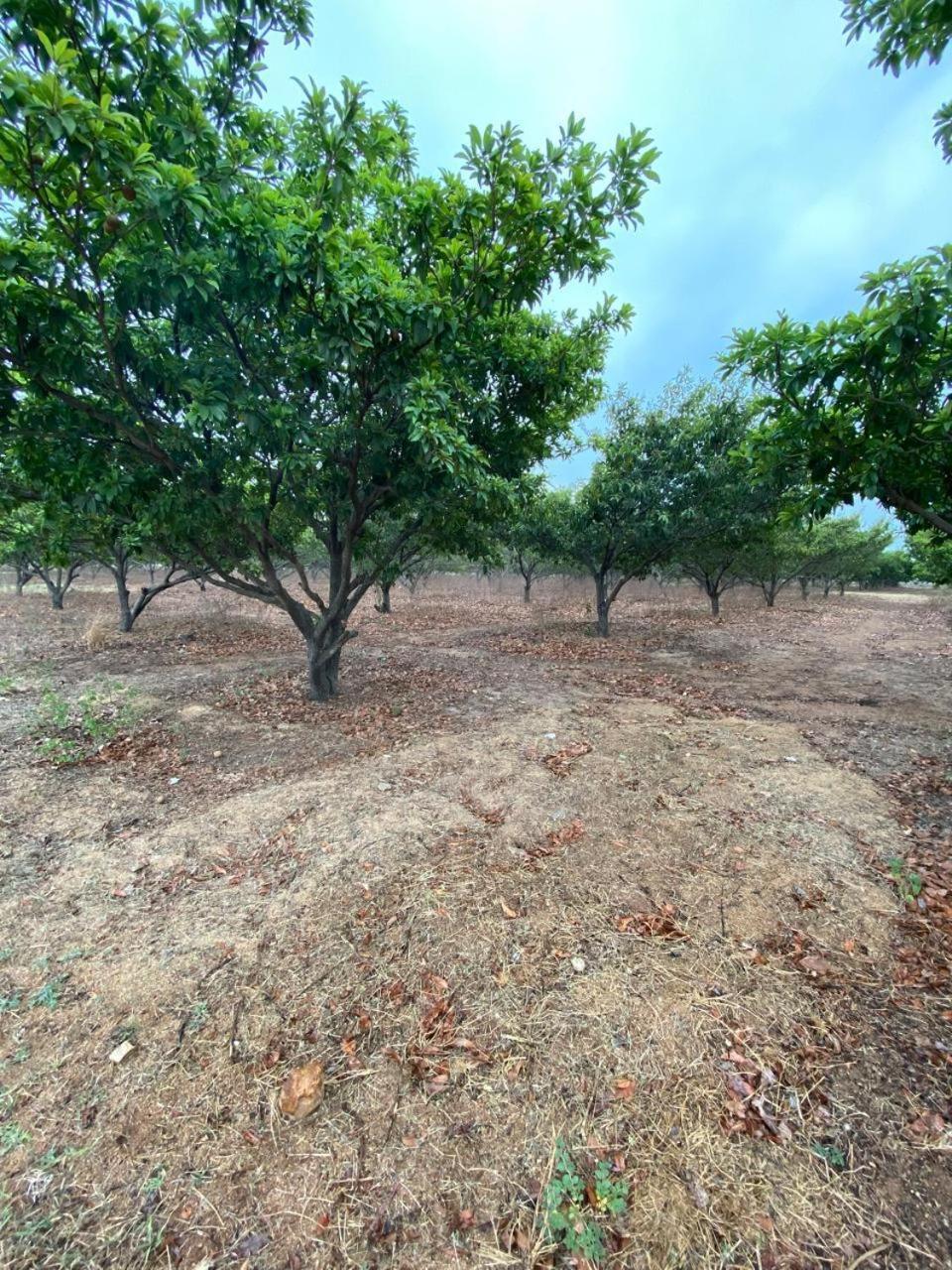 Pn Farm Villa 하이데라바드 외부 사진